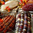 Ten tips for Making Life Easier Life can sometimes become extremely overwhelming; especially during the holidays. Below are 10 tips that I use to help make my life easier. These are tips that I use in...
