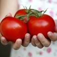 Peapod – New Coupon Code New Peapod promo code: $15 off your first order. Enter Code (BDEALS15) in the promotional code box. Offer is limited to 1 per household. Extra tip: You can use...