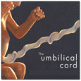 Cord Blood Banking: Why I Did It When you find out that you are about to have a baby, tons of new information and products seem to be thrown in your face. You are instantly overwhelmed by...