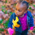 Recently we had a crisis at our house. There was a leak in our house that went undetected. The damage was depressing, but could have been a lot worse. I...