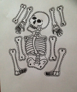 Printable Bones Worksheet - Human Body for kids