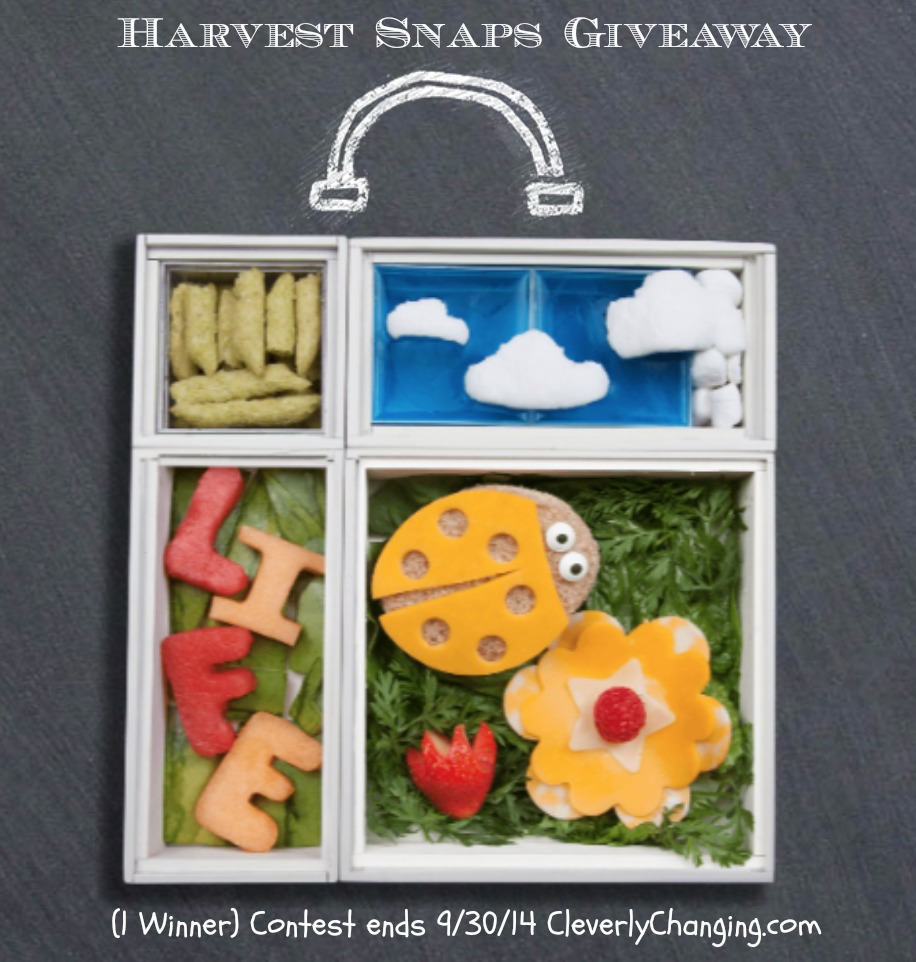 Harvest Snaps Giveaway ends 9/30/14 #sponsored visit cleverlychanging.com to enter