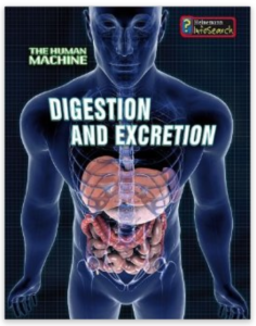 Digestion and Excretion - books explains the excretory system and digestive system so young readers can understand how the body works.