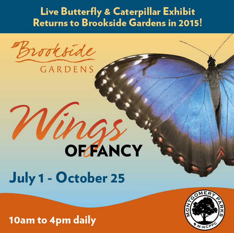 Wings of Fancy (Brookside Gardens Wheaton, MD) #thingstodo #events