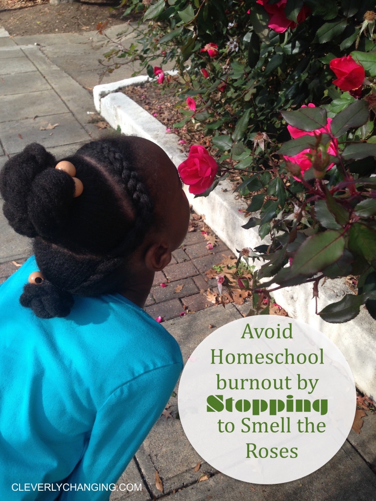 Avoid Homeschool Burnout