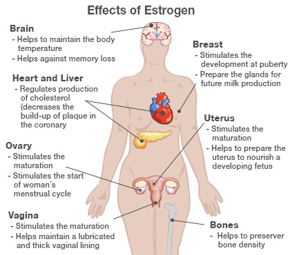Health Moment: Benefits From 10 Years of Anti-Estrogen Therapy
