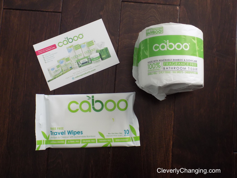 Caboo Paper Products and DC Green Festival Recap and DC Green Festival Recap