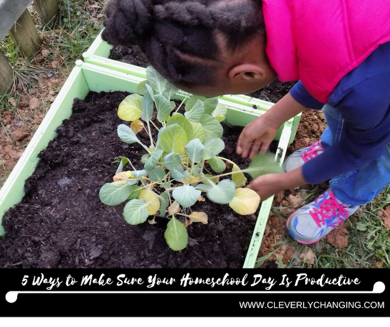 5 Ways to Make Sure Your Homeschool Day Is Productive_ raising gardeners