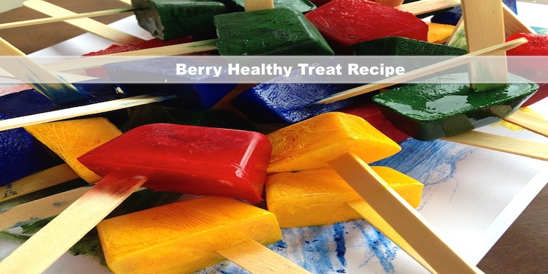 Berry Healthy Smoothie Treat No Sugar Added Recipe