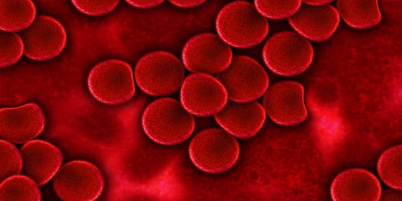 Red blood cell and a new cure for sickle cell
