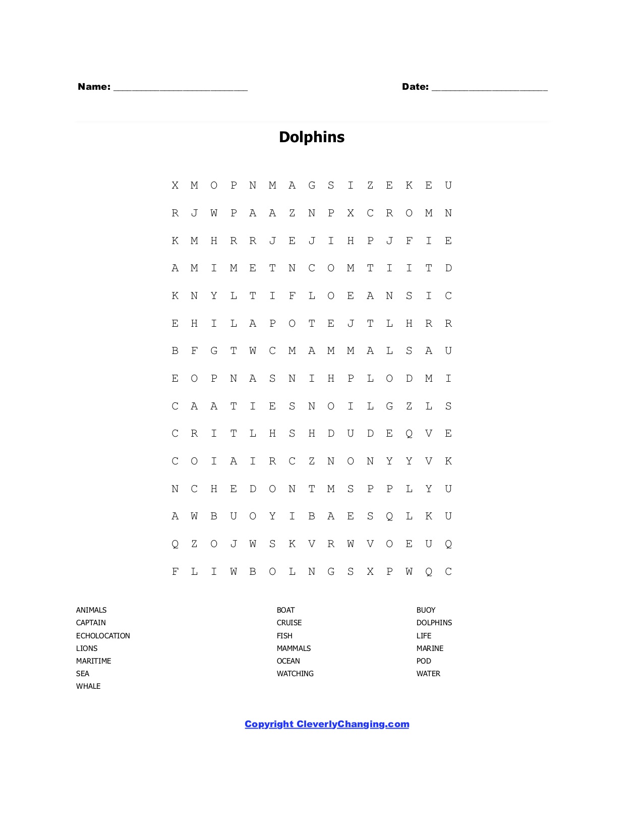 Dolphins Word Search Puzzle