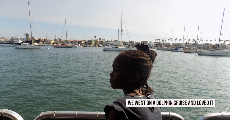 We Went on a Dolphin Cruise and Loved it near Newport Beach | OCEAN VIEW