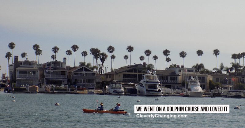 We Went on a Dolphin Cruise and Loved it near Newport Beach | People Kayaking in the ocean