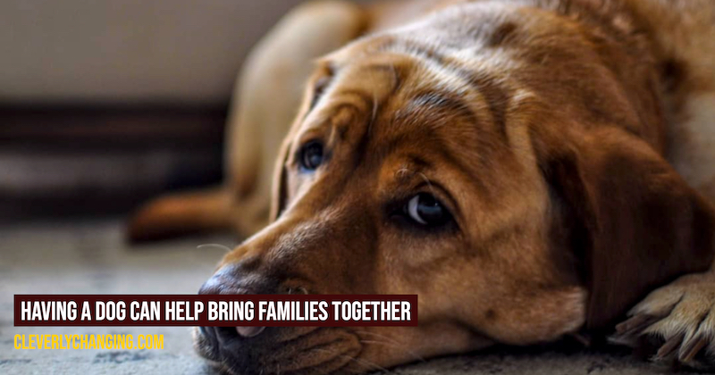 Having a Dog Can Help Bring Families Together