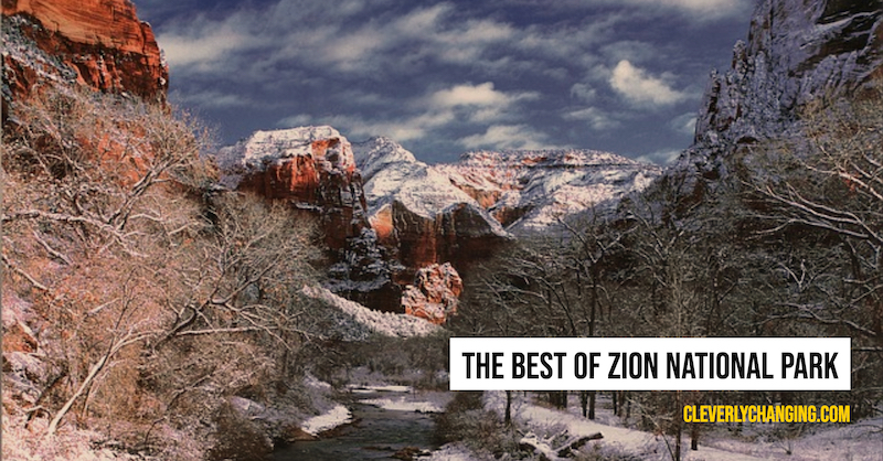 The Best of Zion National Park