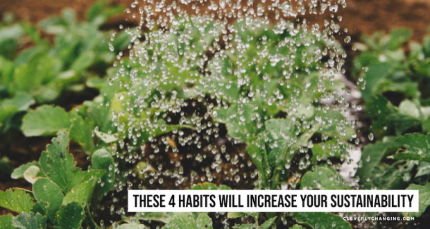 These 4 Habits Will Increase Your Sustainability | watering a plant