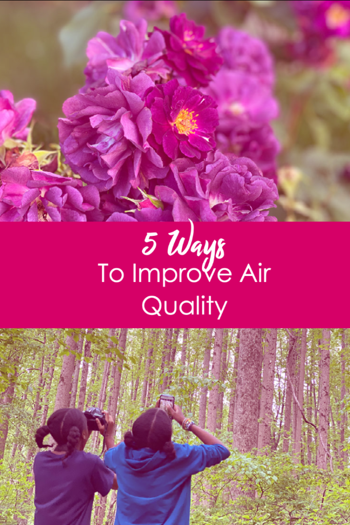 5 Ways to Improve Air Quality | Kids in Nature 