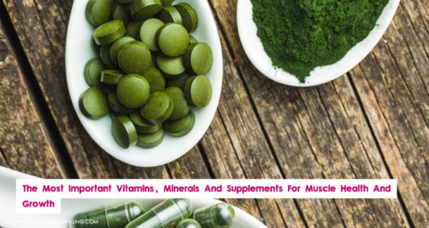 The Most Important Vitamins, Minerals And Supplements For Muscle Health And Growth