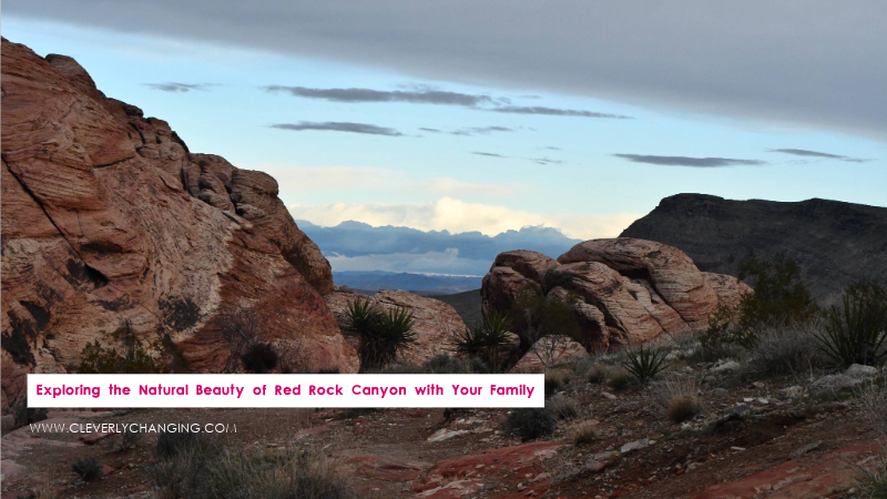 Exploring the Natural Beauty of Red Rock Canyon with Your Family